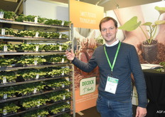 Gaël Decock van Decock Plants ziet een stijgende populariteit in zoete aardappelen. Ook voor de verwerkende industrie.