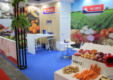 JWK Onions / Wo Hing