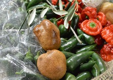 Een typisch Egyptische vrucht: Doum. De vrucht is hard als steen en kan vers gegeten worden, maar Sherif Attia van Green Egypt vermaalt de vrucht het liefst tot poeder om er vervolgens een soort thee van te zetten.