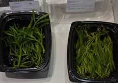 Zeewier wordt nog vooral gebruikt als decoratie en in restaurants.