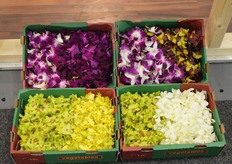 Eetbare bloemen duiken ook regelmatig op.