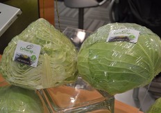 De Coolwrap, een product van Bejo, is een andere manier om wraps te maken.