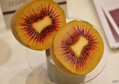 De rode kiwi blijft een opmerkelijke verschijning.