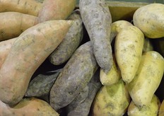 ... zijn ook van buiten aan hun kleur te herkennen...