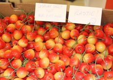 just in case. De Amerikaanse standhouders presenteerden vooral (plastic) kersen, zoete aardappelen, noten, en granaatappelproducten