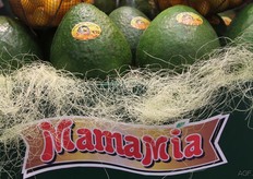 Deze grote groene avocado's komen we in Europa niet veel tegen