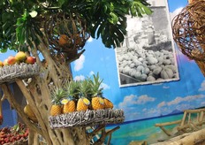 Je waant je op een tropisch eiland op de stand van Boyer bekend van het merk Philibon