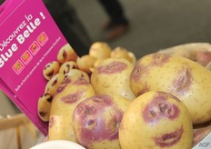 opvallende alleskunner