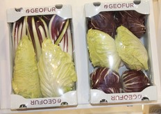 mixverpakkingen van Italiaanse groenten