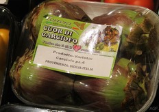 los verpakte artisjok bloemen