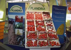 Flandria tomatenpresentatie