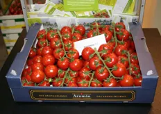 Amoroso tomaten vinden wereldwijd hun weg