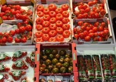 Segment Flandria tomaten