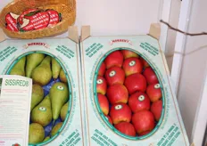 Nieuwe appelras van Morren: Sissired