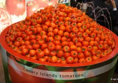 Canarische tomaten worden nat gehouden