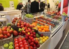 Fruitmasters Holland, waaronder de clubrassen Kanzi, Junami en Wellant en Hollandse Elstar appelen.