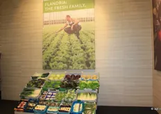 De Belgische groenten onder het Flandria-label werden weer mooi gepresenteerd