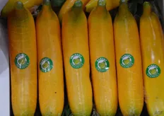 Biologische plastic bananen?