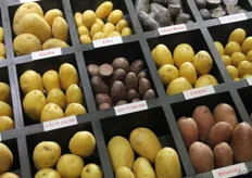 aardappelen in verschillende kleuren en maten