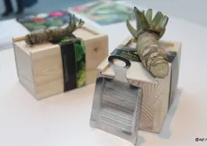 Veel interesse ook voor de Wasabi Giftbox van East4Fresh - Color2Food uit Nederland. Deze geschenkverpakking vervaardigd van onbehandeld hout bevat verse Wasabi- wortelstok en een Wasabi rasp.