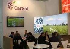 Bessenproducent CarSol heeft ook een vestiging in Nederland