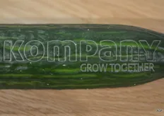 Galaserde komkommer, alle laserprints zijn mogelijk van tekst tot logo.