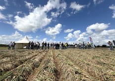 Onderwerpen die aan de orde kwamen waren tripsbeheersing, druppelirrigatie of beregenen, andere teeltstrategieën, zoals biostimulanten, andere meststoffen en andere teeltmethoden zoals ruggenteelt en de daarbij behorende bemesting strategieën. Welke meststoffen zijn interessant en hoe houden we de uien onkruidvrij?