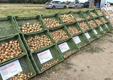 Dit jaar waren de resultaten van 14 verschillende plantuien rassen te zien op het proefveld